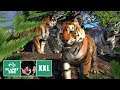 🦁 Königstiger | Bengal Tiger Habitat | Speed Build | Planet Zoo | #023 | Deutsch