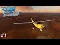 MSFS 2020 (FSEconomy) - Cessna 172 Australia to UK #1 - The Journey Begins