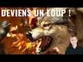 Tu es un loup ! Développe tes instincts