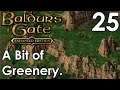A Bit of Greenery - Baldur's Gate Enhanced Edition 025 - Let's Play