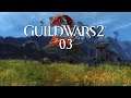 Guild Wars 2 [Let's Play] [Blind] [Deutsch] Part 03 - Wir lieben Herzen!