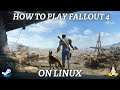 How To Install & Play Fallout 4 On Linux