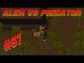 🚀 Predator vs alpaca  !!!!   Rimworld alien vs predator mod | Ep 37