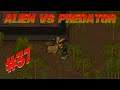 ๐ Predator vs alpaca !!!! Rimworld alien vs predator mod | Ep 37