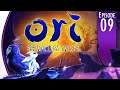 Water Lot of Fun - Let's Play Ori and the Will of the Wisps EP09