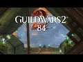 Guild Wars 2 [Let's Play] [Blind] [Deutsch] Part 84 - Die Suche nach dem Portal