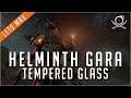 Helminthed Gara - Tempered Glass! | Warframe