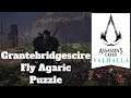 Assassin's Creed Valhalla Grantebridgescire Fly Agaric Puzzle