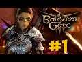 RISE OF THE DWARVEN ROGUE! Baldur's Gate 3 - Early Access Let's Play - Shield Dwarf Rogue #1