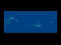 FLORA COM DEMO FROM DEMOS 3 IMG ENTERPRISE 64 128 INTELLIGENT SOFTWARE SIXTY FOUR ONE TWO EIGHT