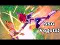 NEW Super Saiyan God VEGETA Online Gameplay! He Is INSANELY Strong! DLC 9
