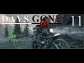 (Pt.#11)(So Thaaat's what happened 😧) Days Gone Let's Play  with BABz On PC | 4K | Ultra Wide