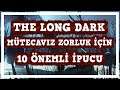 The Long Dark Mütecavız Zorluk İçin 10 Önemli Bilgi