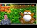 Verstreutes Salz Im Wald Super Donkey Kong 64 #08 Lets Play