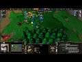 Ice Orc (Orc) vs Fortitude (HU) - WarCraft 3 - WC2938