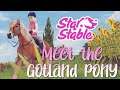 Meet The Gotland Pony | Star Stable Online