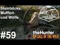 Steinbock, Mufflon und Wölfe in Spanien + Giveaway 🦌| theHunter Call of the Wild #59 | Deutsch