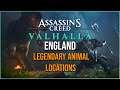 HUNTING ENGLAND LEGENDARY ANIMAL LOCATIONS  | Assassins Creed Valhalla [PC GAMEPLAY TIPS]