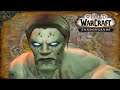 World of Warcraft (Shadowlands) 9.0 - Affliction Warlock Leveling - Part 2
