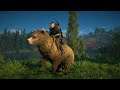 Assassin's Creed Valhalla (#61) : Jezdíme na medvědovi jak Putin !