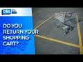 Shopping Cart Protocol: To Return Or Not To Return?