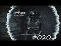 THE WITCHER 3 WILD HUNT #020 - wanderung im dunkeln 2 ° #letsplay [GERMAN]