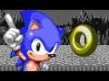 Why Does Sonic Need Rings?