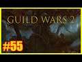 Guild Wars 2 🧙🏼 55 - Quästors Belagerung 🧙🏼 Let's Play