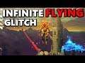 New Infinite FLYING glitch in Zelda Breath of the Wild (Switch)