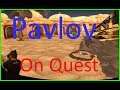 Pavlov VR Tutorial # 2 | On Oculus Quest | Version 20 Link Below
