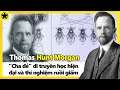 Thomas Hunt Morgan - “Cha Đẻ” Di Truyền Học Hiện Đại Và Thí Nghiệm Ruồi Giấm Nổi Tiếng