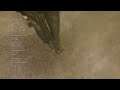 Winning WARZONE with a Riot Shield in Call of Duty®: Modern Warfare®