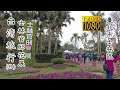 20210304_B 士林官邸鬱金香展(日)_台灣旅行(Shilin Residence Tulip Show Daytime Taiwan Travel)
