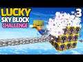 DIE LUCKY BLÖCKE EXPLODIEREN 💥 LUCKY SKY BLOCK CHALLENGE #3