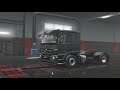 ETS2 Multiplayer: I Flipped My Truck & Lost the Cargo #3