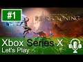 Kingdoms Of Amalur Re-Reckoning Xbox Series X Gameplay (Let's Play #1)