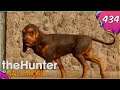 Let's Play The Hunter Call Of The Wild #434  - Auf den Hund gekommen [Deutsch / German]