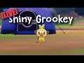 [LIVE] SHINY GROOKEY from Masuda Method Eggs (Shiny Charm)