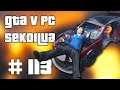 PEKU EI! - GTA V PC Sekoilua | Osa 113