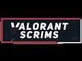 🔴 VALORANT Scrims | Live Stream !!! 🔴