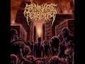 Abominable Putridity - Dissected from Within
