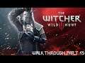 The Witcher 3 Wild Hunt Walkthrough Part 15