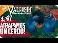 ATRAPAMOS UN CERDO! | VALHEIM #07 | EpsilonGamex