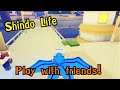 Roblox | Shindo Life | Play with friends!