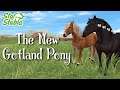 The New Gotland Pony | SSO Update