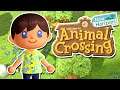 Welcome to JammaJamma Island! | Animal Crossing New Horizons