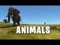 HOW TO FIND ANIMALS IN FS2020
