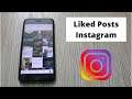 How to Find Liked Posts on Instagram