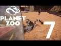 Let's Play Planet Zoo: Franchise (Part 7) - Lemur Land!