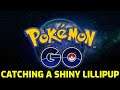 Pokémon GO - Catching a Shiny Lillipup
